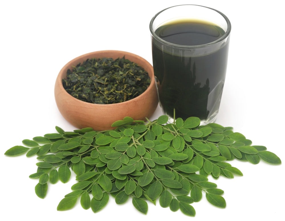 Moringa Leaf Liquid Extract