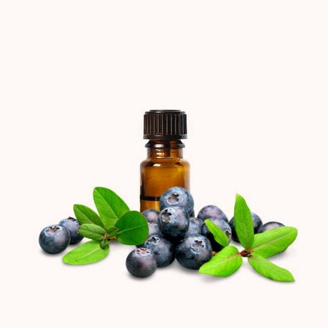 Blueberry Flavor Oil